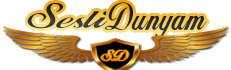 logo-1 Web SesliDunyam